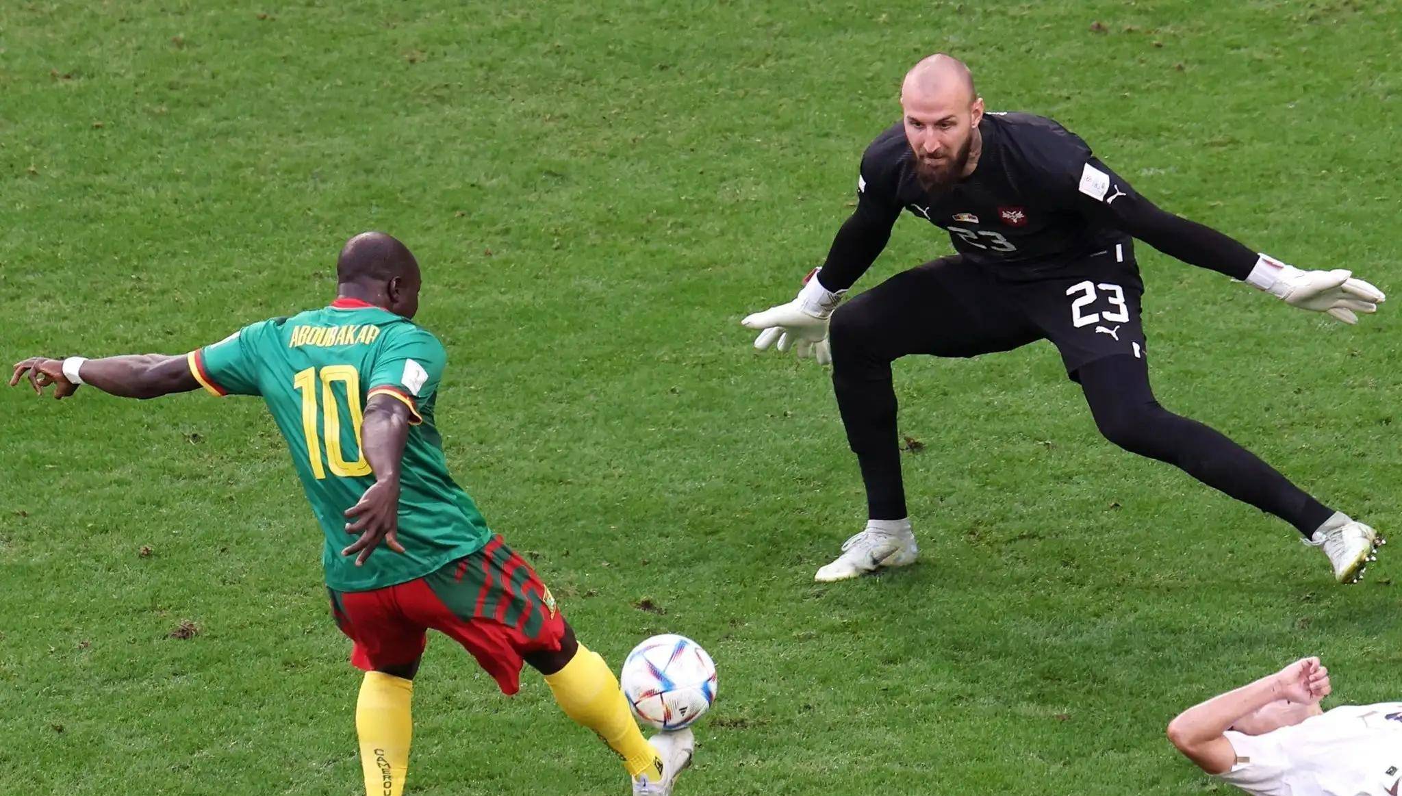 Kaiyun-Ning关键节点关键助攻，塞尔维亚队带队取胜！的简单介绍